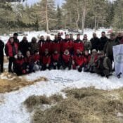Kastamonu Yaban Hayvanları Besleme